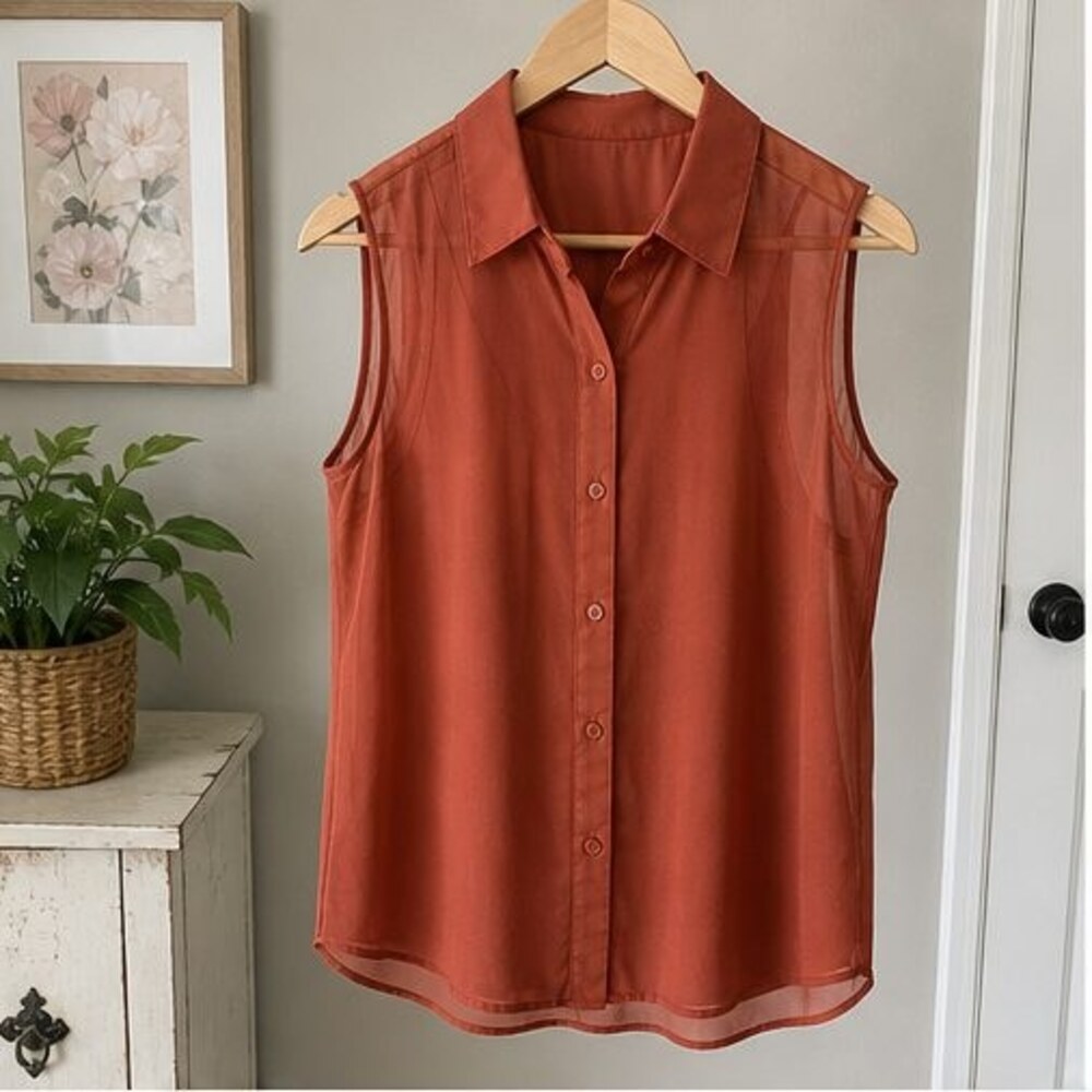 Rust Tunic Blouse
